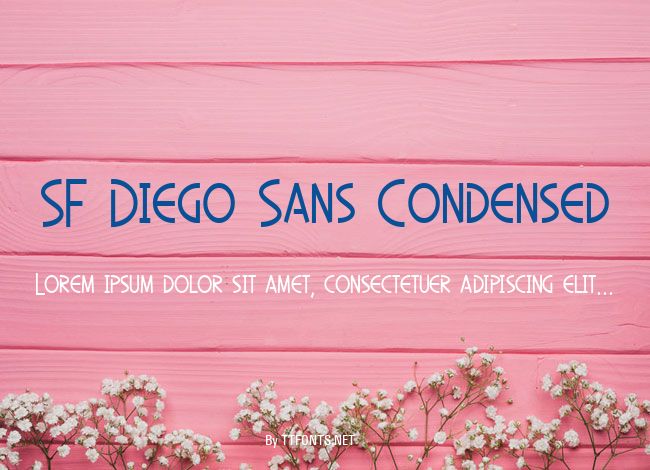 SF Diego Sans Condensed example
